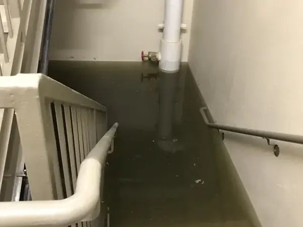 Water standing at the foot of a basement stairwell after a cloudburst in Queens